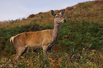 Xbox Series X再获音效升级 可提前预览音频设置效果